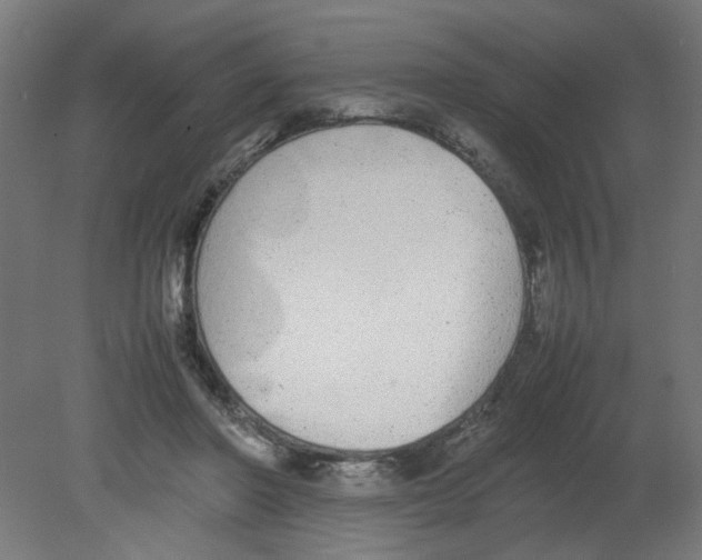 X0000080780406200701122127