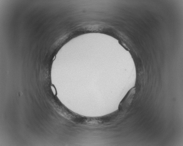 X0000080780407200701122127