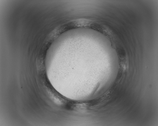 X0000080780411200701122127
