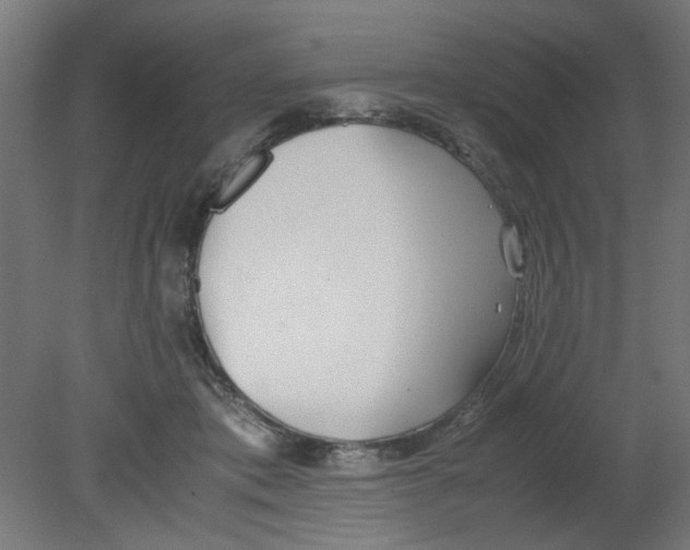 X0000080780413200701122127