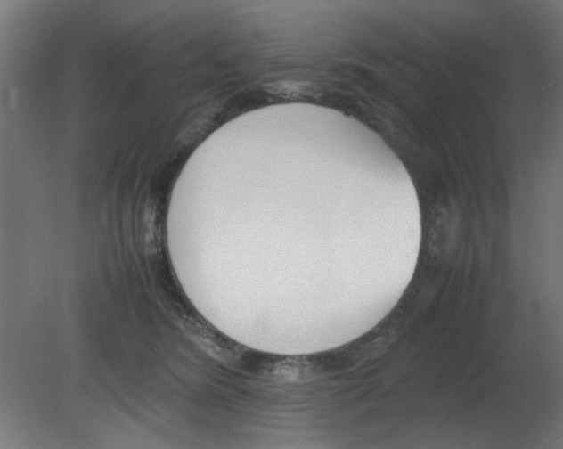 X0000080780420200701122127