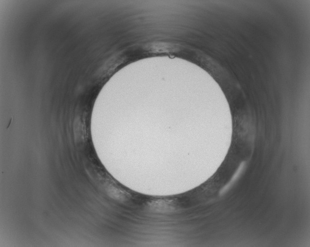 X0000080780422200701122126