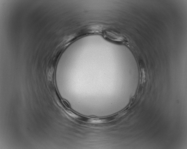 X0000080780423200701122126