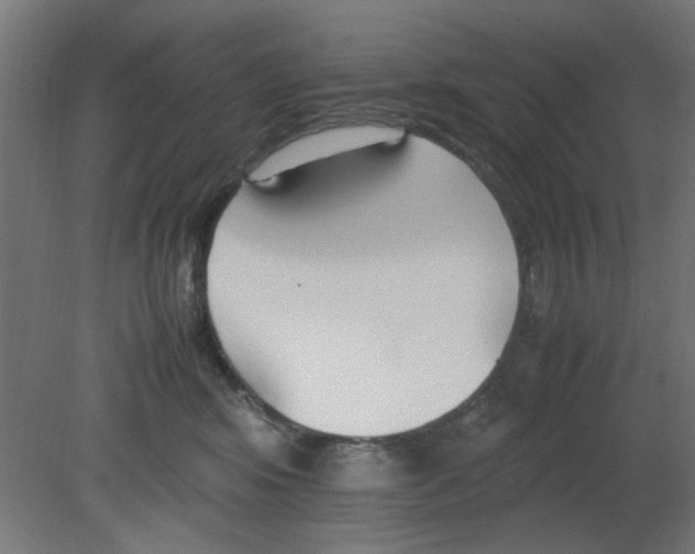 X0000080780424200701122126