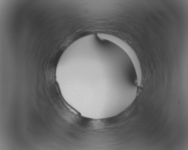 X0000080780425200701122126