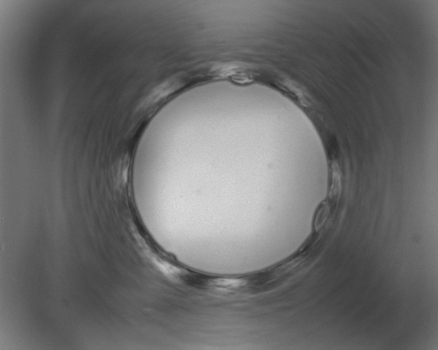 X0000080780427200701122126