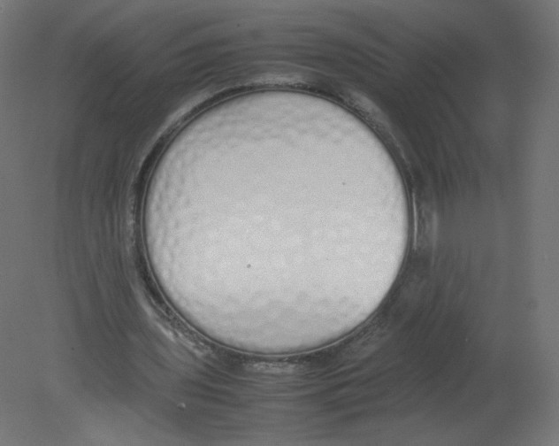 X0000080780435200701122126