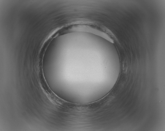 X0000080780436200701122126