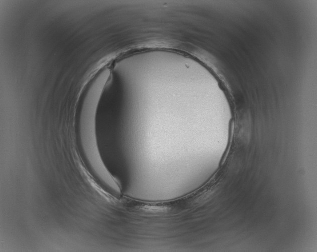 X0000080780437200701122126