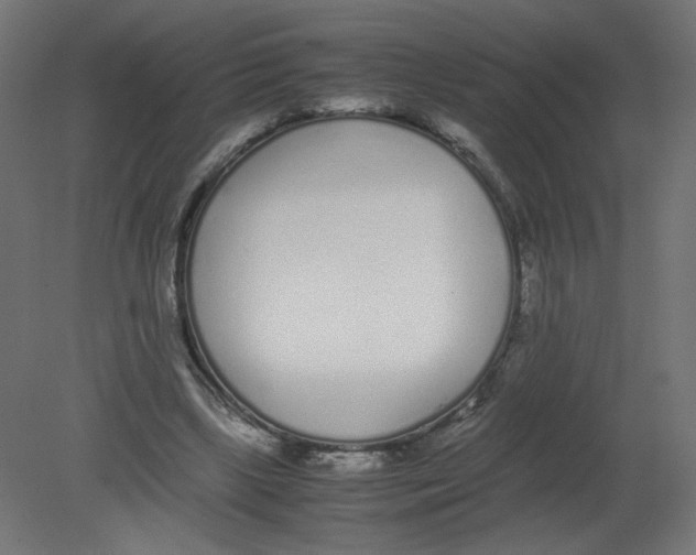 X0000080780443200701122126