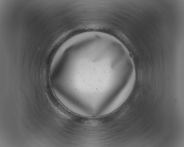 X0000080780444200701122126