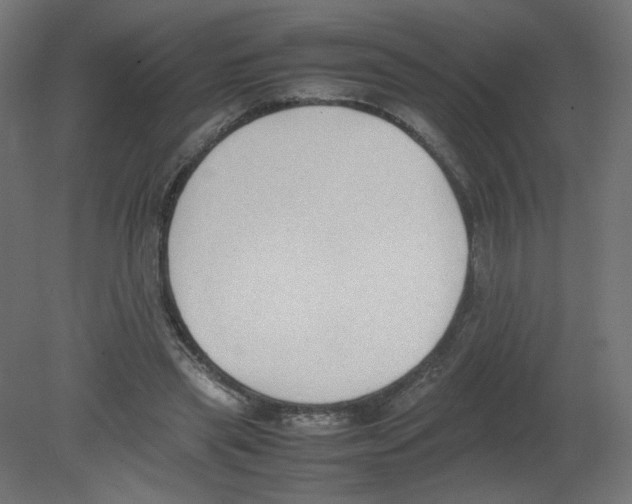 X0000080780445200701122126