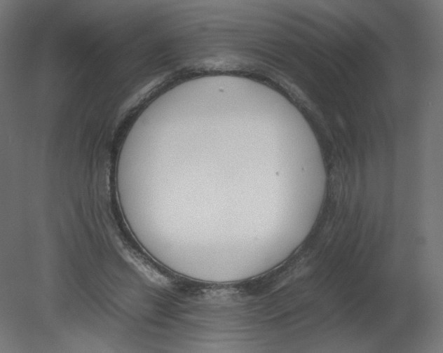 X0000080780446200701122126