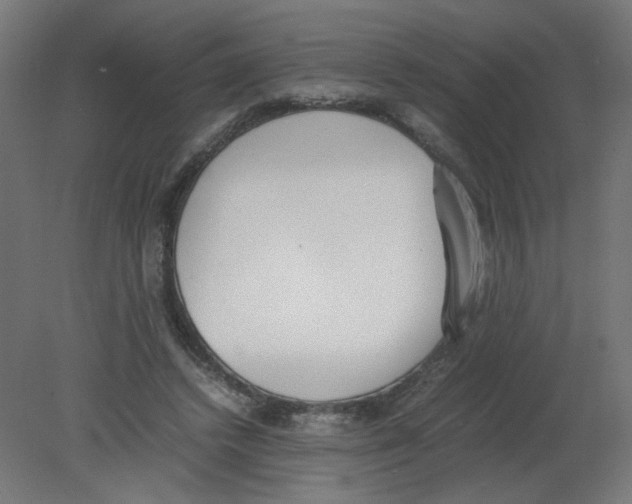 X0000080780448200701122126