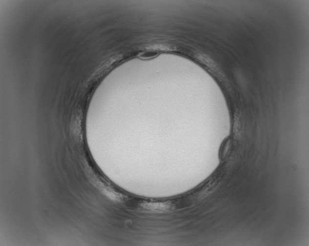 X0000080780449200701122126