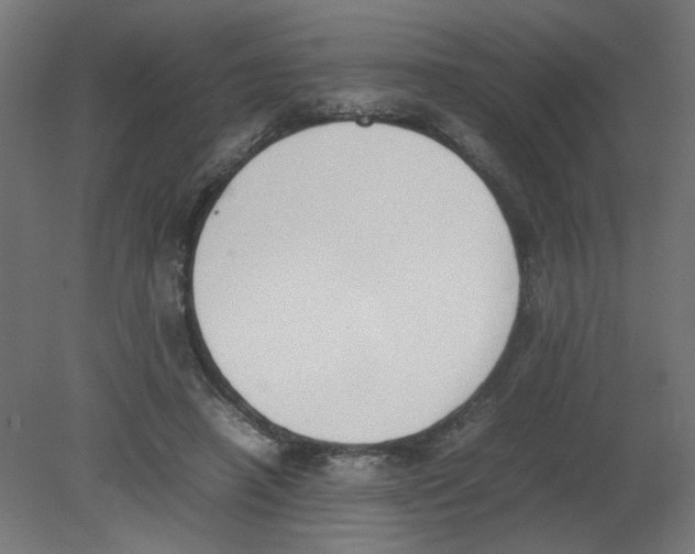 X0000080780450200701122126