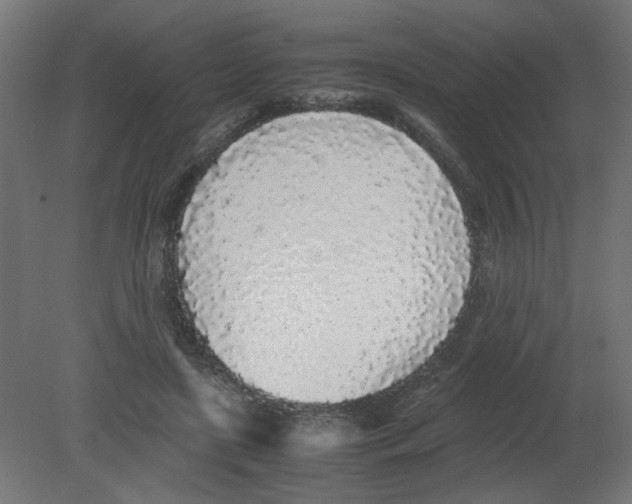 X0000080780451200701122126