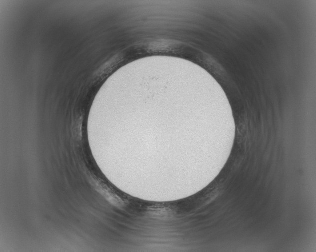X0000080780454200701122126