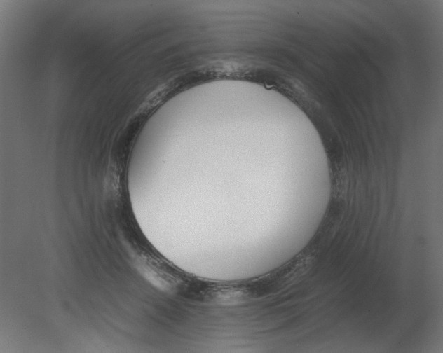 X0000080780456200701122126