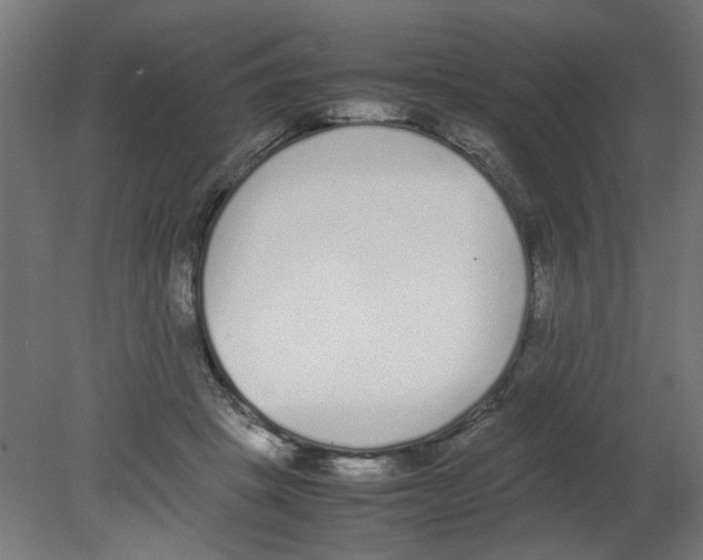 X0000080780457200701122126