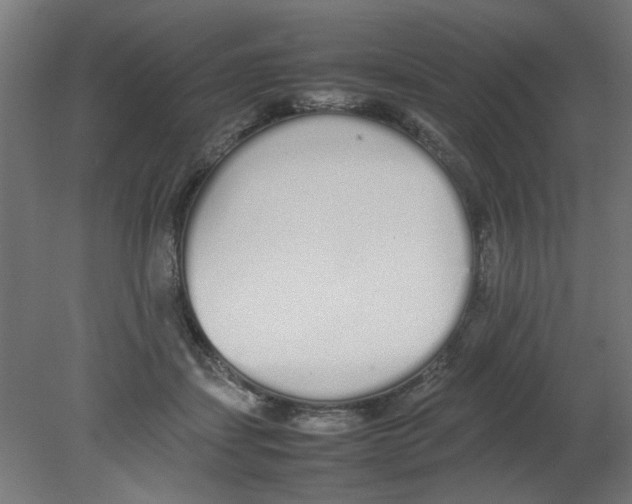 X0000080780459200701122126
