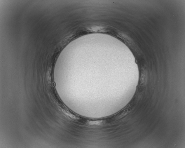 X0000080780461200701122126