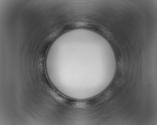 X0000080780462200701122126