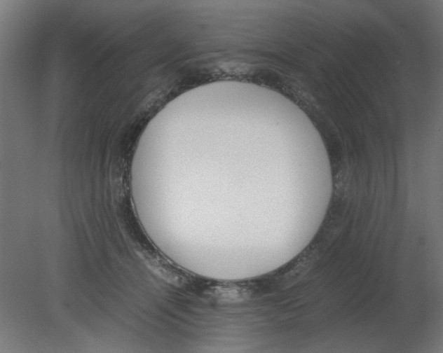 X0000080780464200701122126