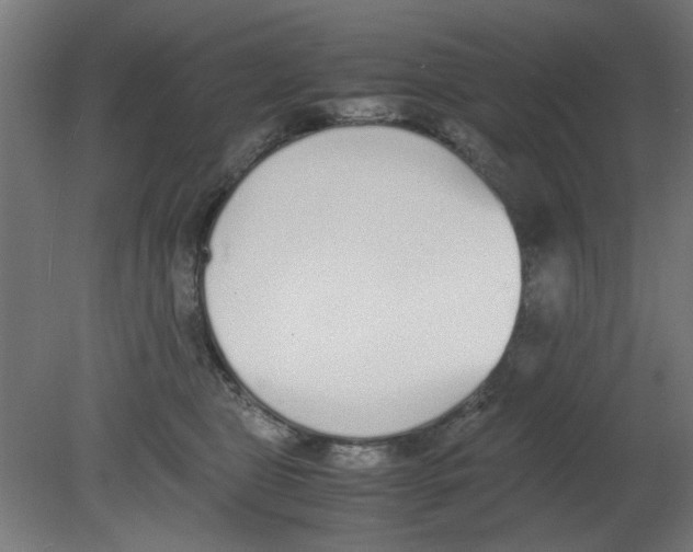 X0000080780469200701122126