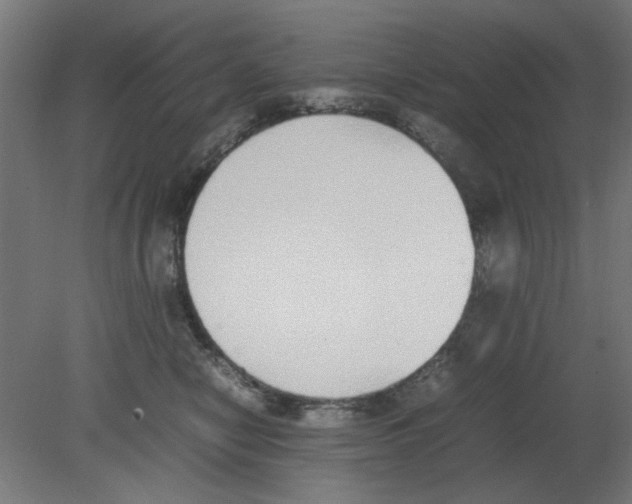 X0000080780470200701122126