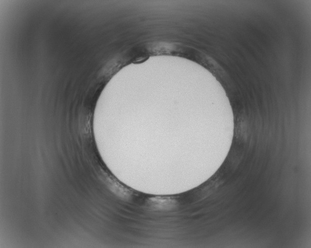 X0000080780477200701122126