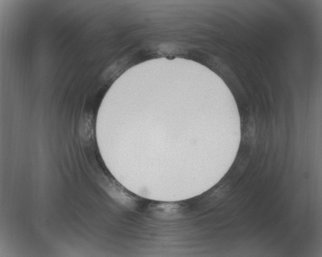 X0000080780478200701122126