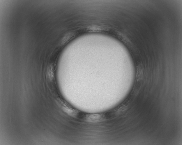 X0000080780479200701122126