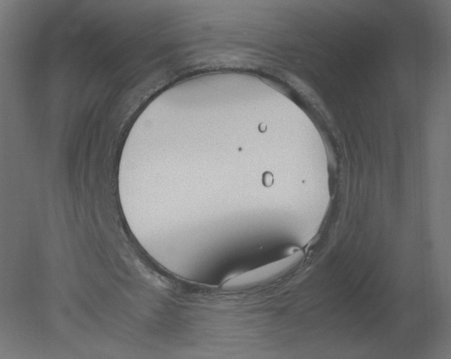X0000080780481200701122125