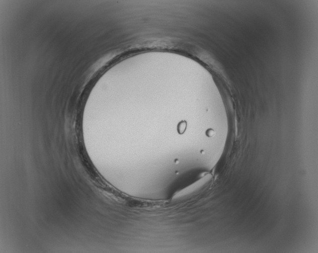 X0000080780483200701122125