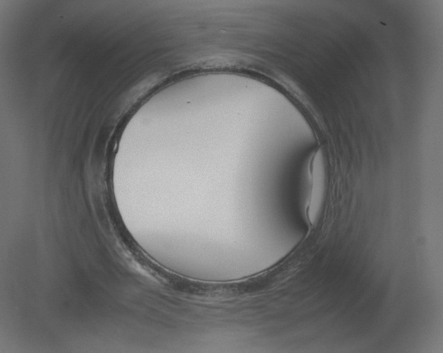 X0000080780485200701122125