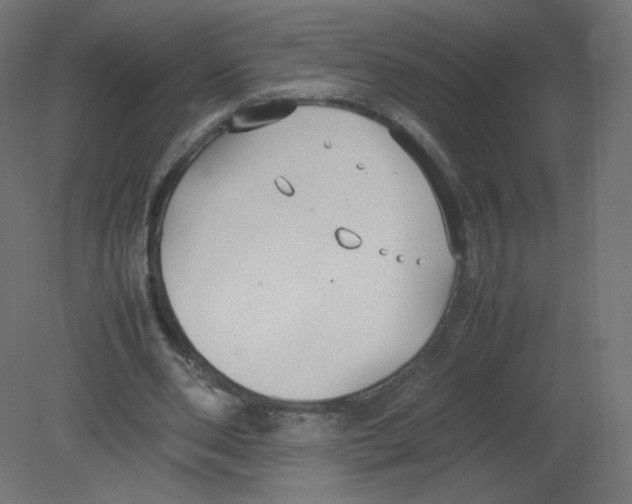 X0000080780486200701122125