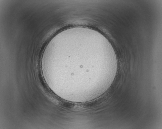 X0000080780487200701122125