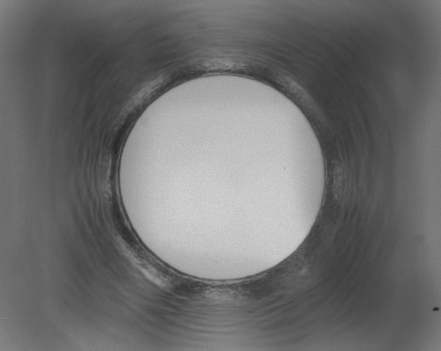 X0000080780490200701122125