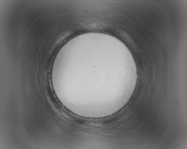 X0000080780491200701122125