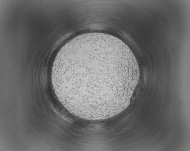 X0000080780492200701122125