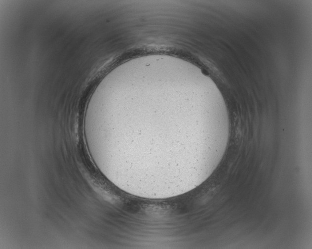 X0000080780494200701122125
