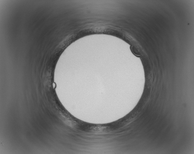 X0000080780497200701122125
