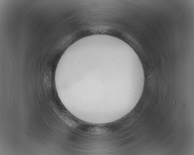 X0000080780498200701122125