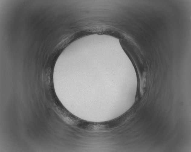 X0000080780501200701122125