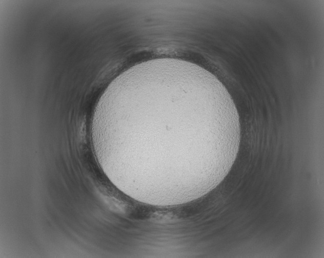 X0000080780502200701122125