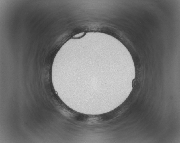 X0000080780505200701122125