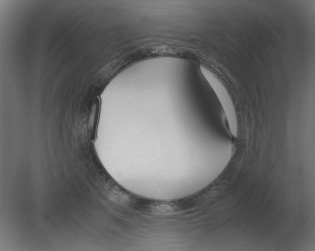 X0000080780513200701122125