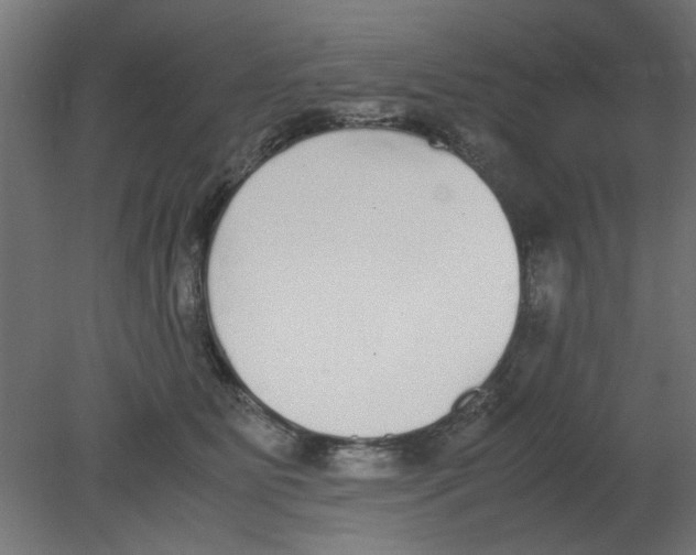 X0000080780515200701122125