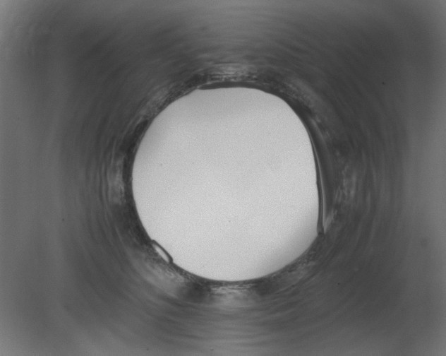 X0000080780516200701122125